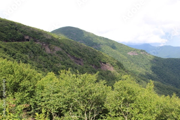 Fototapeta mountain landscape with trees