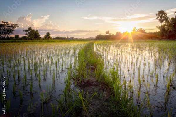 Obraz sunrise over the river