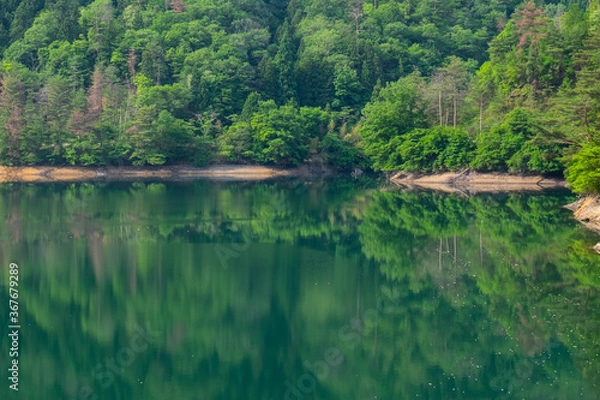 Fototapeta 湖に映り込む新緑