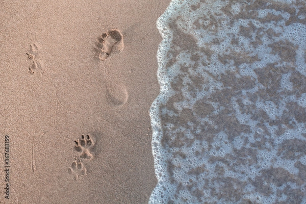 Obraz footprints in sand