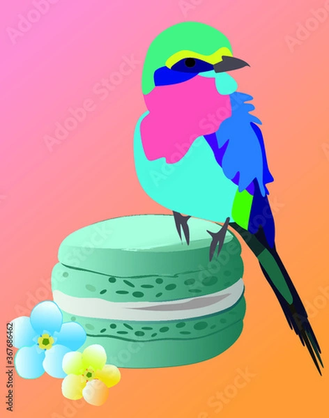 Fototapeta Vector illustration of bird, flower and macaron