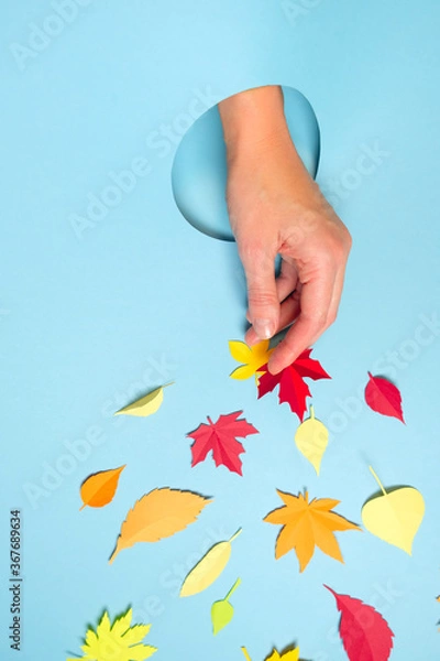 Fototapeta Close up of human hand protruding through hole in blue background, Autumn concept
