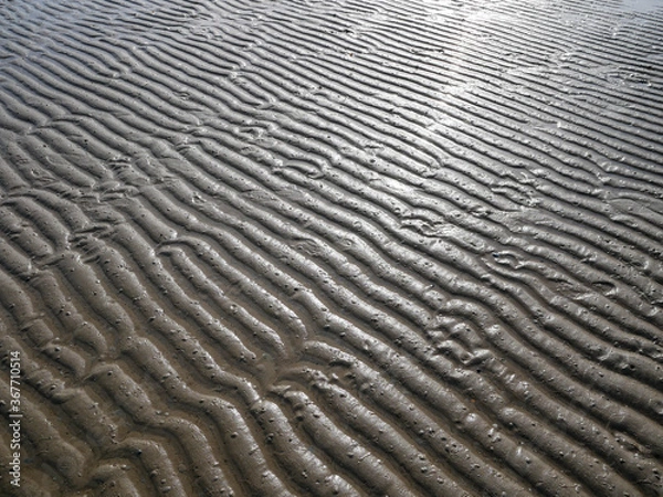 Obraz sand background after low sea