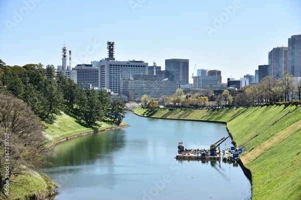 Obraz 東京都千代田区 千鳥が淵の桜とお堀