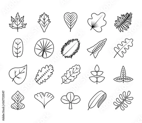 Fototapeta tropical leaves line style icon set vector design