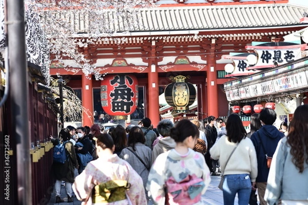 Obraz 東京都台東区 浅草寺 桜の季節