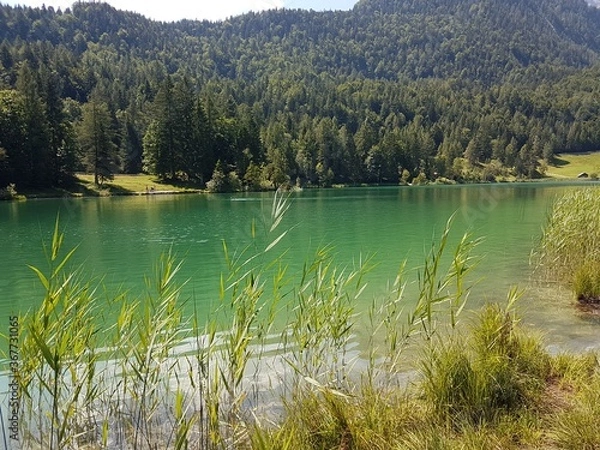 Obraz Alpensee