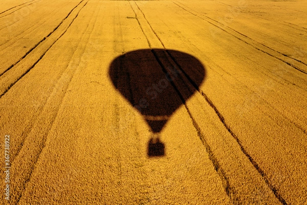 Fototapeta silhouette, shadow of air balloon flying over yellow wheat field