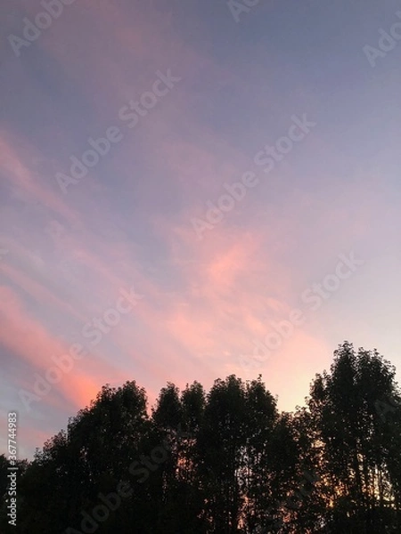 Obraz pastel sunrise