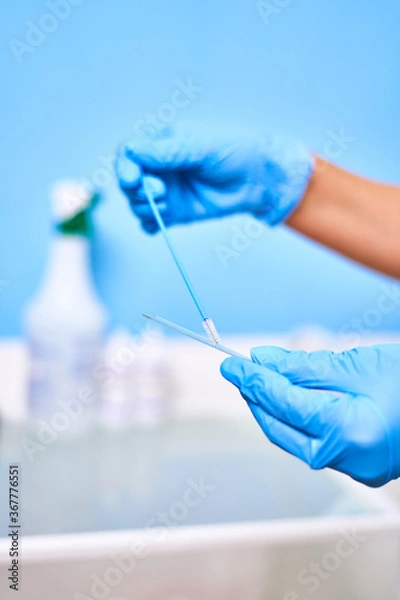 Obraz Doctor's hands in blue gloves collecting tests for testing