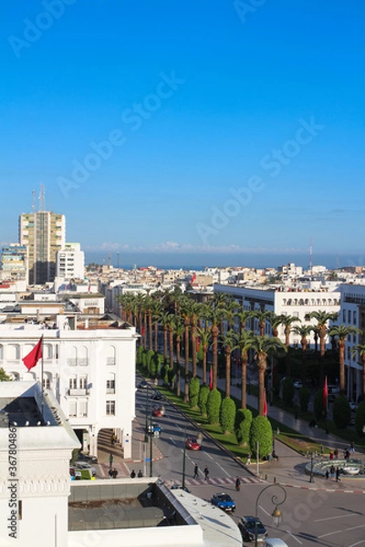 Obraz Top view of the houses of Rabat with openwork wrought-iron balconies and the Boulevard with beautiful palm trees.