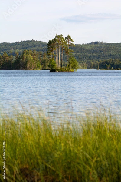 Fototapeta landscape with lake and trees