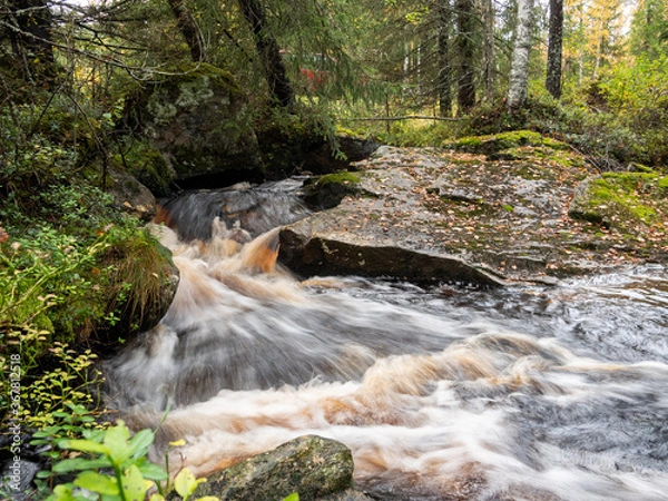 Fototapeta waterfall in the forest