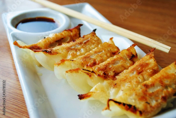 Obraz Gyoza