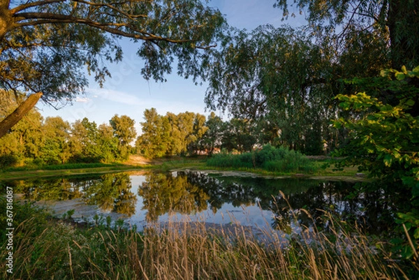 Obraz Wild lake in the country, beautiful rural scenery 