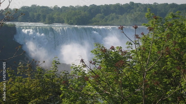 Obraz Niagara and the forest
