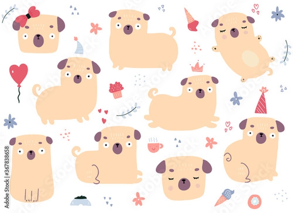 Fototapeta Drawn by hand vector set of cartoon pugs on white background. Vector illustration of different doodle colorful elements and doggies. Childish design.