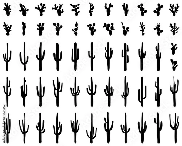 Fototapeta Black silhouettes of different cactus on a white background
