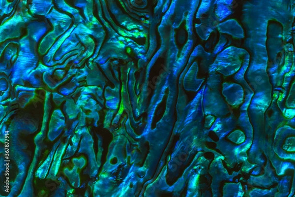 Obraz Brightly coloured New Zealand Paua shell patterns. Paua is a large mollusc found in coastal waters and is known as abalone in other parts of the world.  The shell is prized for its decorative quality.