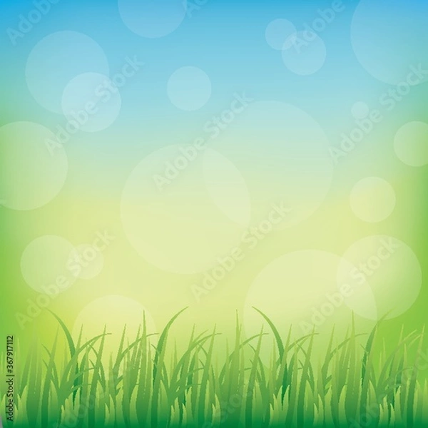 Fototapeta grass background