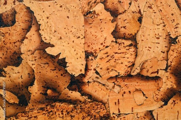 Obraz Korkboden Detail