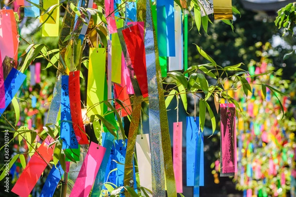 Obraz 日本の夏　七夕祭り