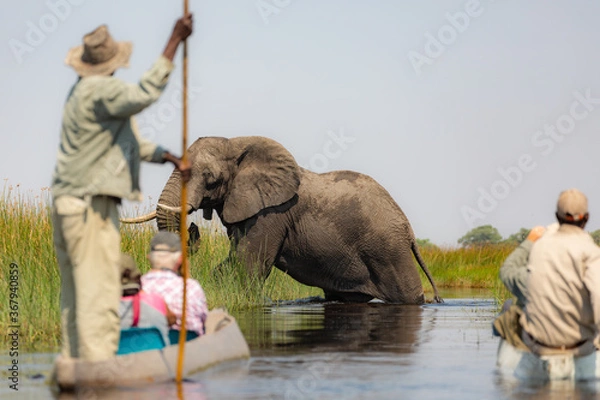 Obraz Exiting the Okavango Delta in Botswana  by mokoro 