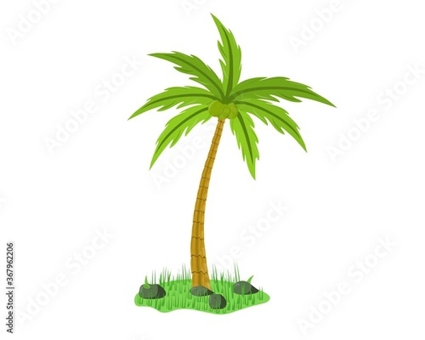 Fototapeta Coconut tree on grass. Vector design Illustration.