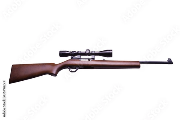Obraz Rifle with scope