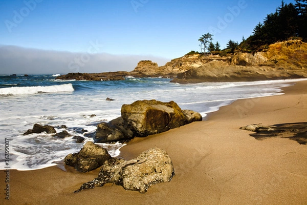 Obraz Oregon coast portrait