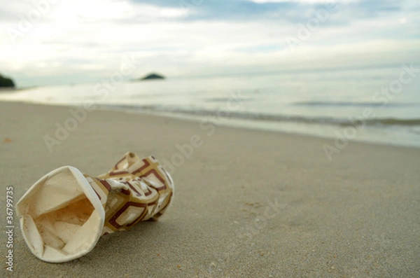 Fototapeta empty cup on the beach