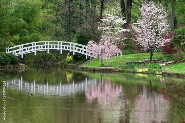 Obraz Duke Garden at Spring time, durham,nc