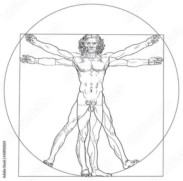 Obraz Człowiek witruwiański, Leonardo da Vinci. Człowiek witruwiański na podstawie zapisów Leonarda da Vinci i architekta Witruwiusza. Ilustracja na białym tle. Wektor.