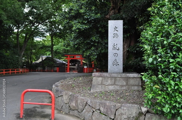 Fototapeta 糺の森石碑