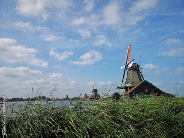 Obraz Windmill
