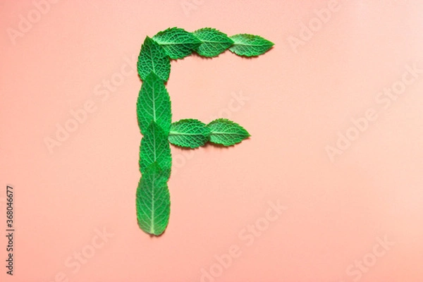 Fototapeta on a gentle pink background the alphabet the letter F from the leaves of mint melissa