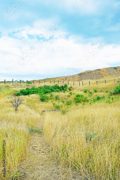 Fototapeta View of the path among the grass and bushes on the hill