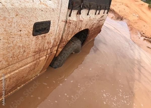 Obraz Stuck in the mud