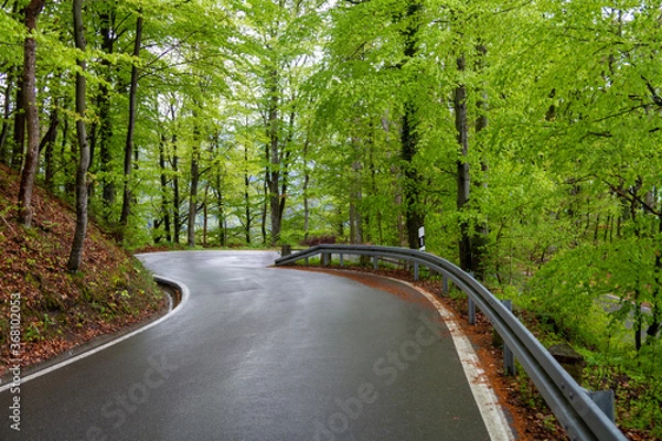 Fototapeta Caution wet road in the forest