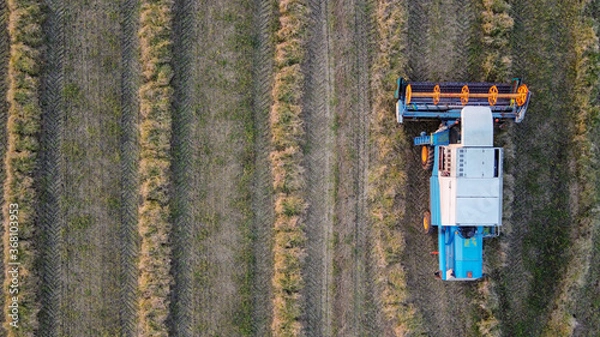 Fototapeta White and blue harvester in top view while harvesting crops at an agricultural field with copy space