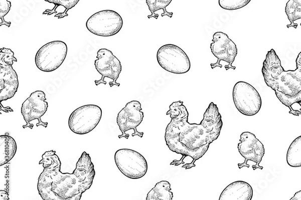 Fototapeta Seamless pattern of chicks, eggs and hens, hand drawn vector, engraving style