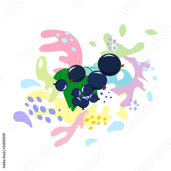 Fototapeta Splash and fall, movement of liquid, black currant in splashes of juice and yogurt, drops and spots. Abstract vector illustrations