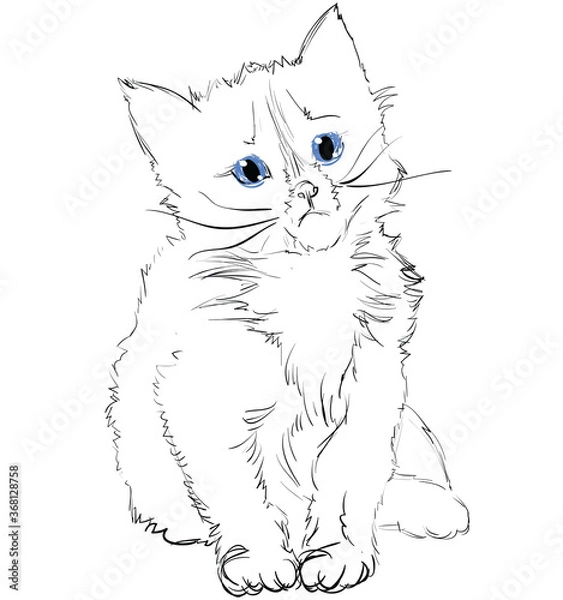 Fototapeta Vector Illustration of Adorable Blue-Eyed Cat on Black. Sketched Little Cute Kitten. Monochrome Freehand Drawing. Kids Style Graphic. Stylized Cartoon Beautiful Kitty. Realistic Drawing. Animal Art.