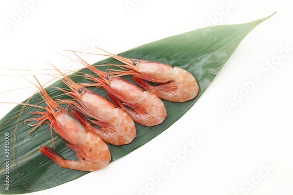 Obraz 敷葉に盛った甘エビ