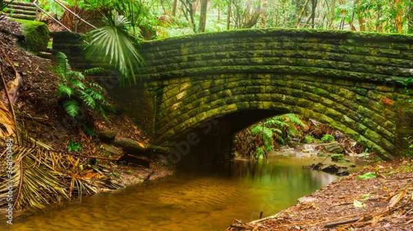 Obraz bridge in the forest