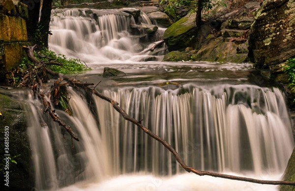 Obraz waterfall in the forest