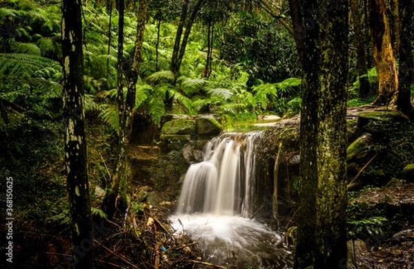 Obraz waterfall in the jungle