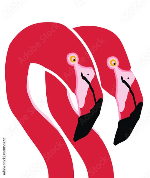 Fototapeta illustration of a pink flamingo, bird drawing, print, pattern, pink, coral, flamingo background, pair, duo
