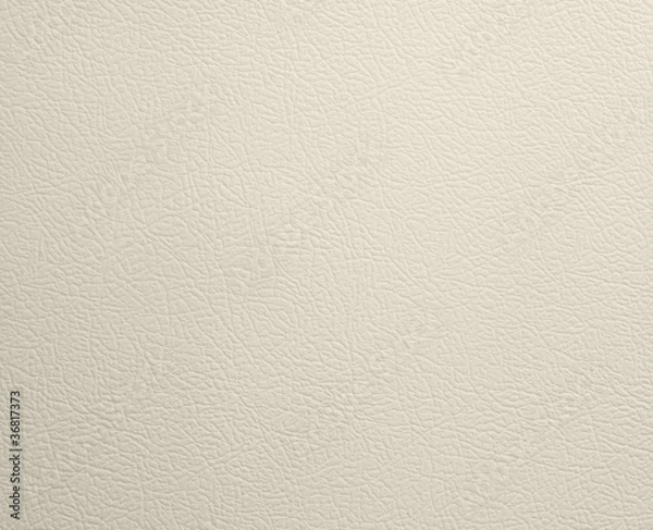Obraz Refrigerator Door Texture