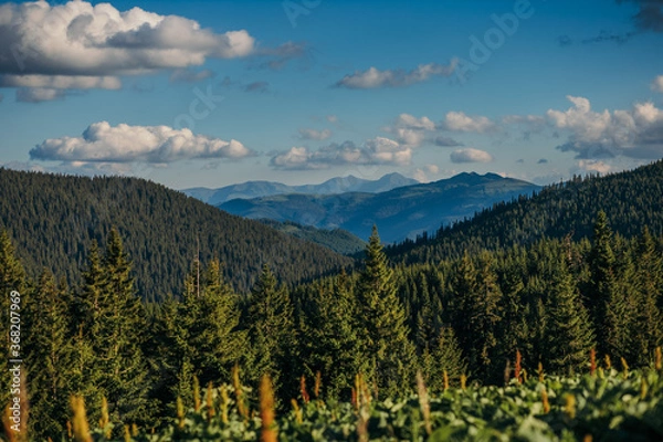 Obraz A tree with a mountain in the background